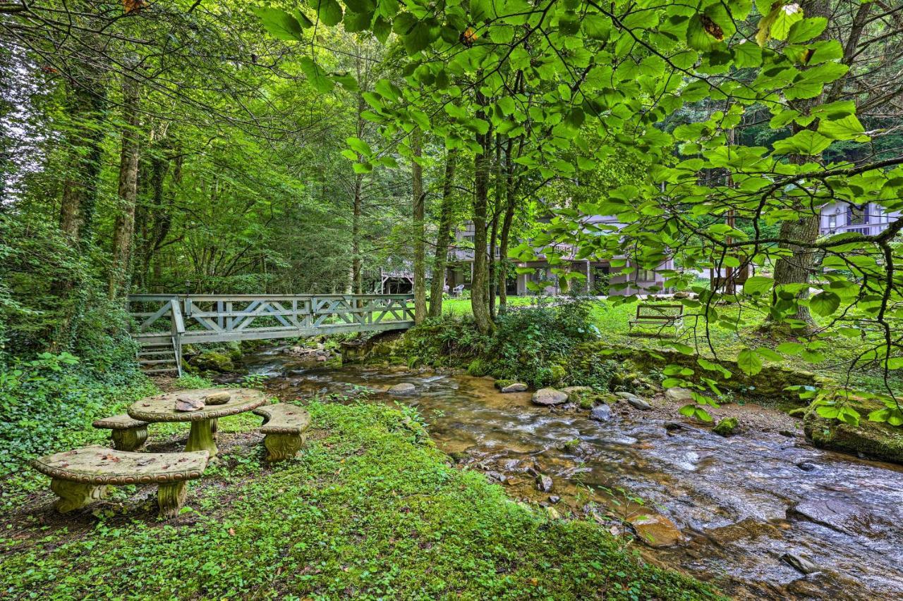 Roan Mountain Creekside Cabin Hike And Fish! Kültér fotó