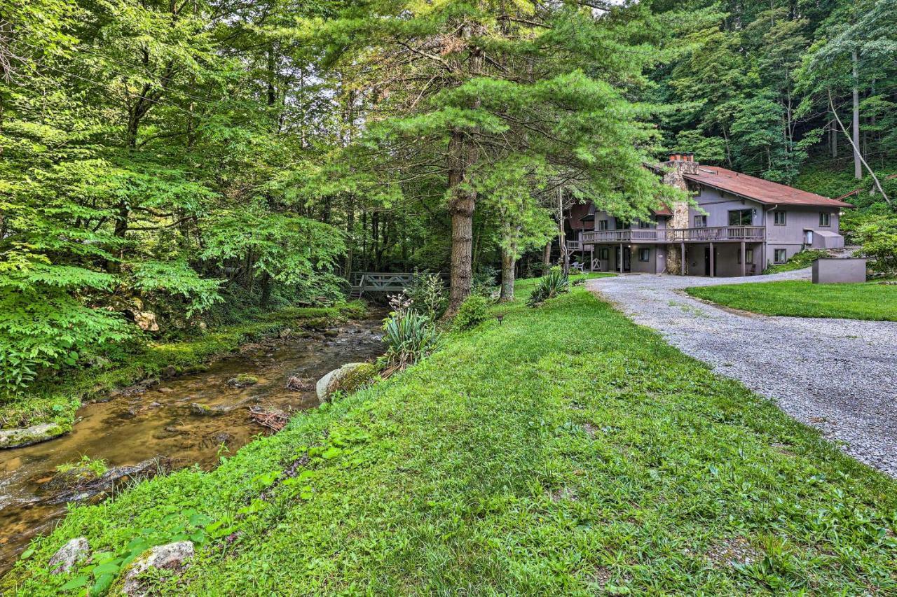 Roan Mountain Creekside Cabin Hike And Fish! Kültér fotó