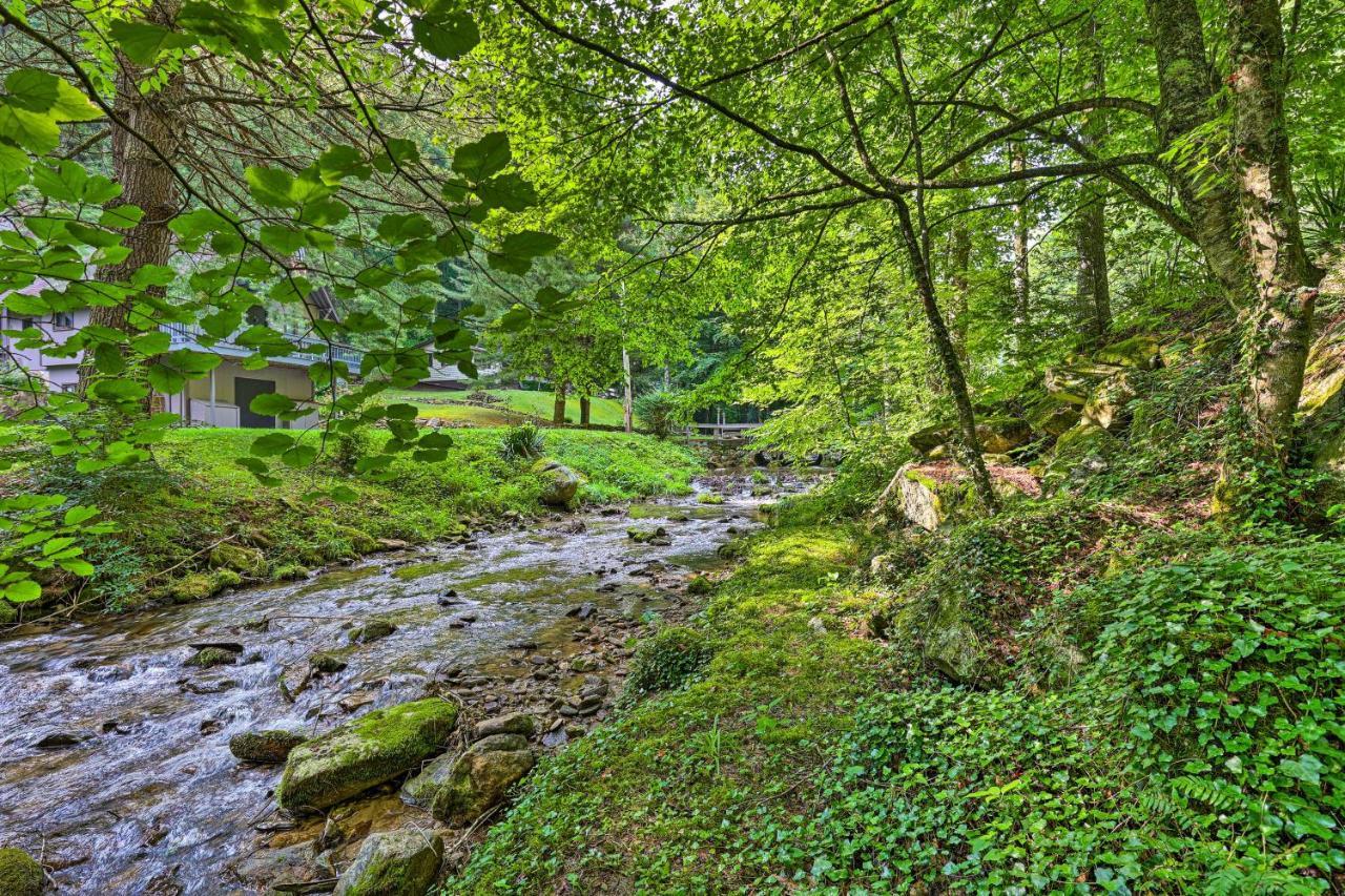 Roan Mountain Creekside Cabin Hike And Fish! Kültér fotó