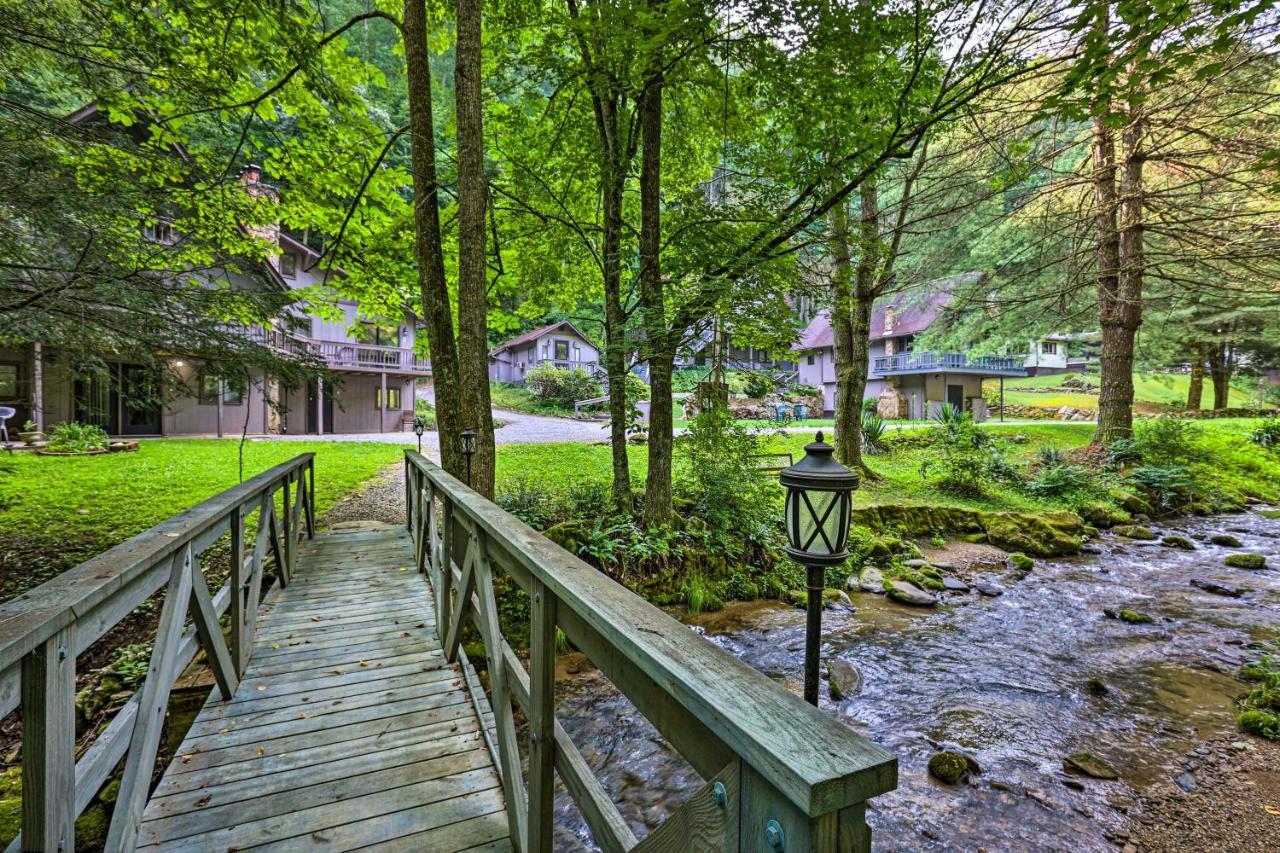 Roan Mountain Creekside Cabin Hike And Fish! Kültér fotó